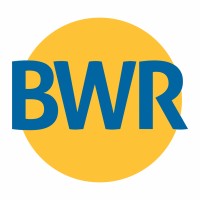 Bharat Wire Ropes Ltd logo