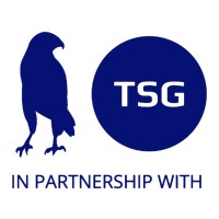 Bluehawk Consulting (Now TSG) logo