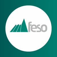 Feso - Fundação Educacional Serra dos Órgãos logo