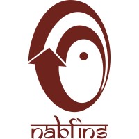 NABFINS LTD logo