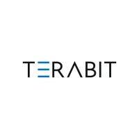 TeraBit IT logo